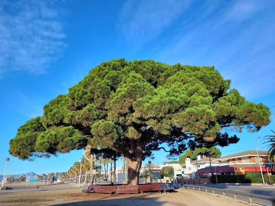 Apartamento Cambrils Dulces Suenos España